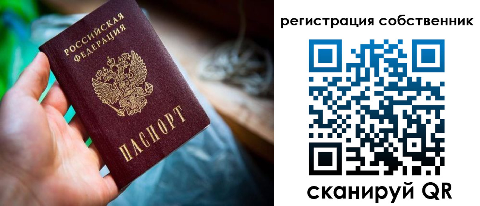 прописка гарантия в Волоколамске