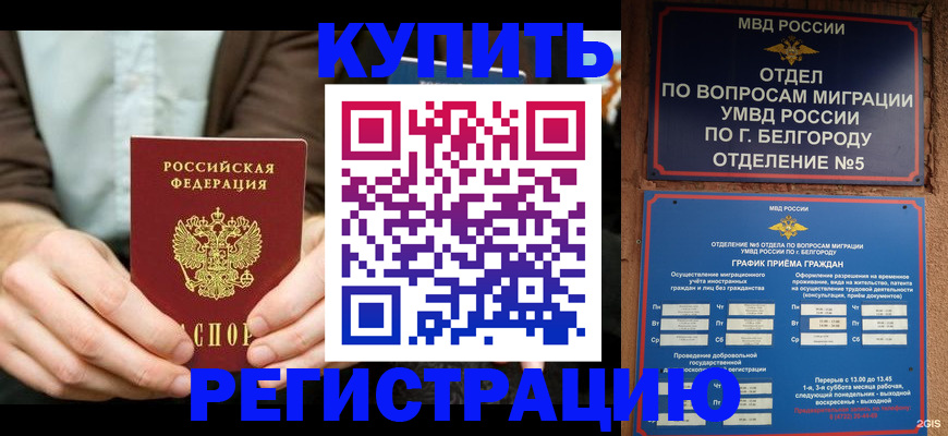 прописка 2025 в Волоколамске